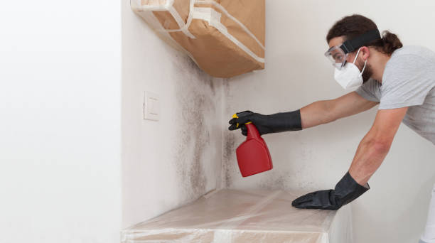 Professional Mold Inspection And Testing technician working in Ludington, MI