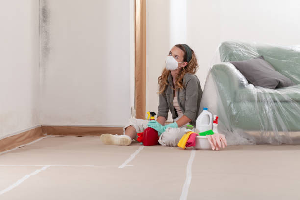 Reliable Mold Inspection And Testing contractor in Ludington, MI by 24 Hour Mold Removal